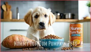 nummy tum tum pumpkin pets