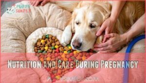 nutrition and care during pregnancy