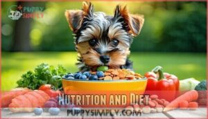 nutrition and diet