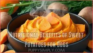 nutritional benefits of sweet potatoes for dogs