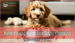 nutritional needs for goldendoodles