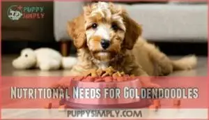 nutritional needs for goldendoodles