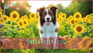 omega fatty acids