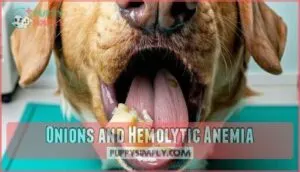 onions and hemolytic anemia