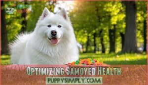 optimizing samoyed health