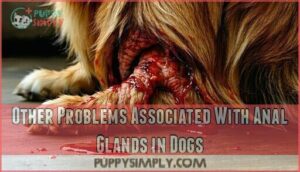 other problems associated with anal glands in dogs