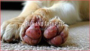 pain and arthritis
