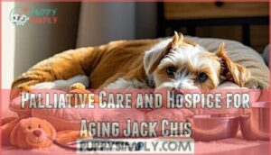 palliative care and hospice for aging jack chis