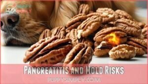pancreatitis and mold risks