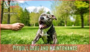 pitbull care and maintenance