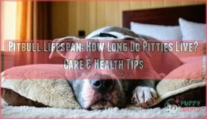 pitbull lifespan