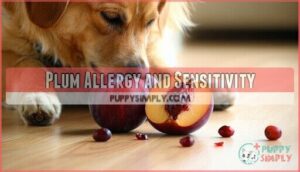 plum allergy and sensitivity