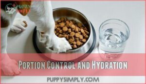 portion control and hydration