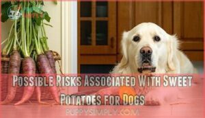 possible risks associated with sweet potatoes for dogs
