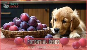 potential risks