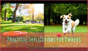 practical implications for owners