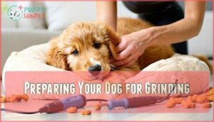 preparing your dog for grinding