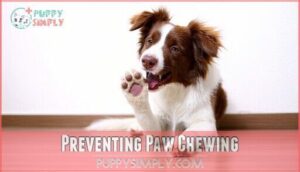 preventing paw chewing