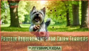 protein requirements for cairn terriers