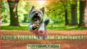 protein requirements for cairn terriers protein requirements for cairn terriers