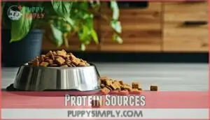 protein sources