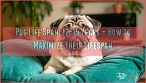 pug life span