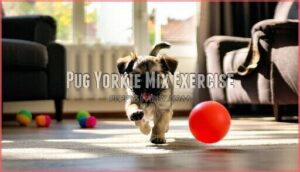 pug yorkie mix exercise