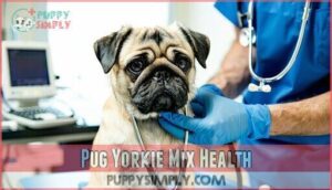 pug yorkie mix health