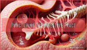 puncturing the digestive tract