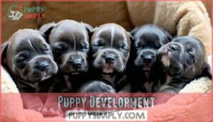 puppy development