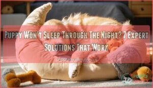 puppy wont sleep through the night