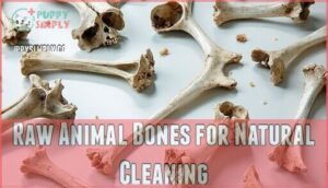 raw animal bones for natural cleaning