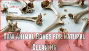 raw animal bones for natural cleaning