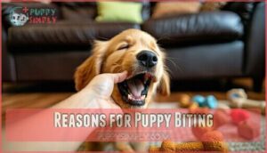 reasons for puppy biting