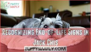recognizing end-of-life signs in jack chis