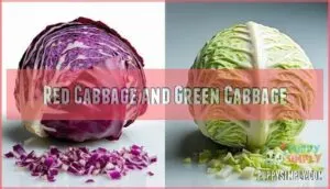red cabbage and green cabbage