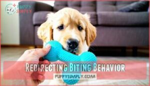 redirecting biting behavior