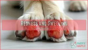 redness and swelling