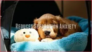 reduces separation anxiety