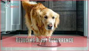 reducing bloat recurrence