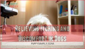 relieving itching and discomfort in dogs