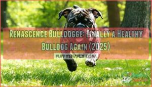 renascence bulldogge finally a healthy bulldog again