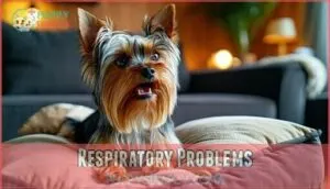 respiratory problems respiratory problems