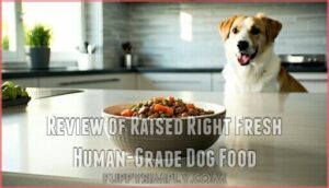 review of raised right fresh human-grade dog food