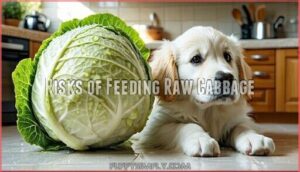 risks of feeding raw cabbage