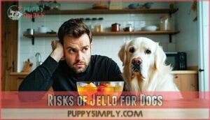 risks of jello for dogs