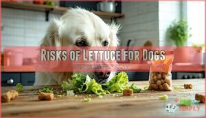 risks of lettuce for dogs