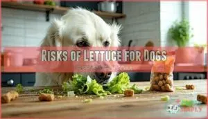 risks of lettuce for dogs