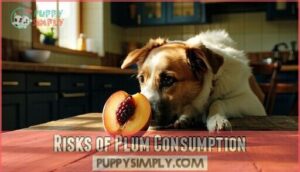 risks of plum consumption