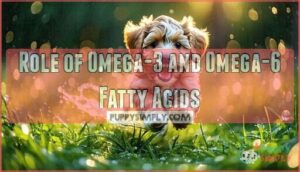 role of omega-3 and omega-6 fatty acids